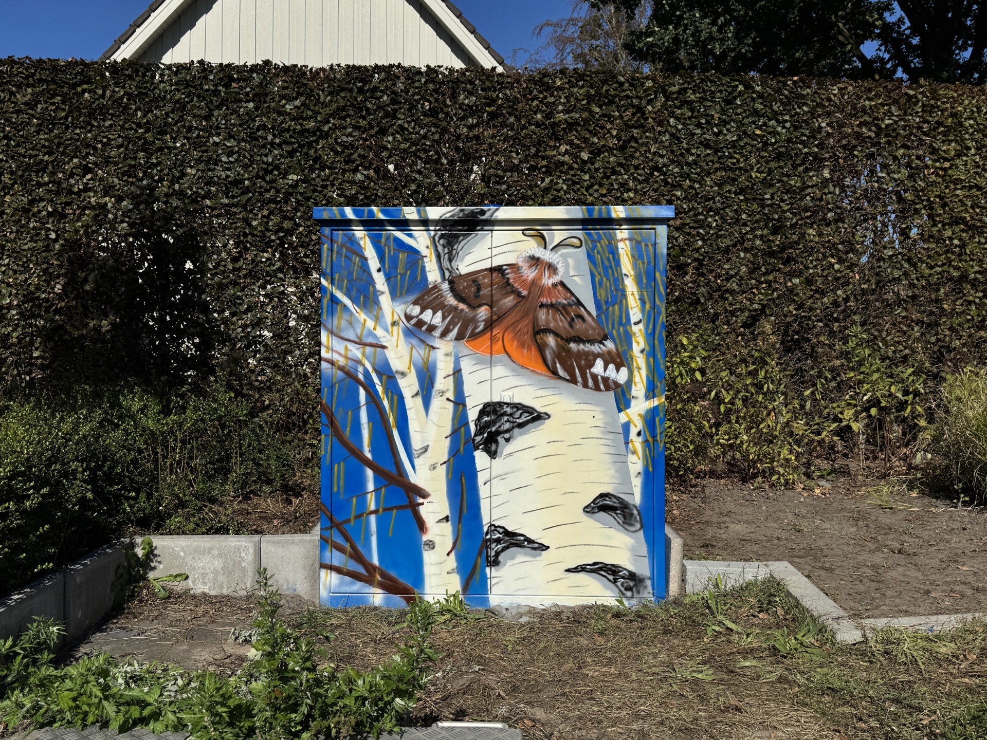 Kunst vertelt verhalen uit wijk en dorp in Helvoirt