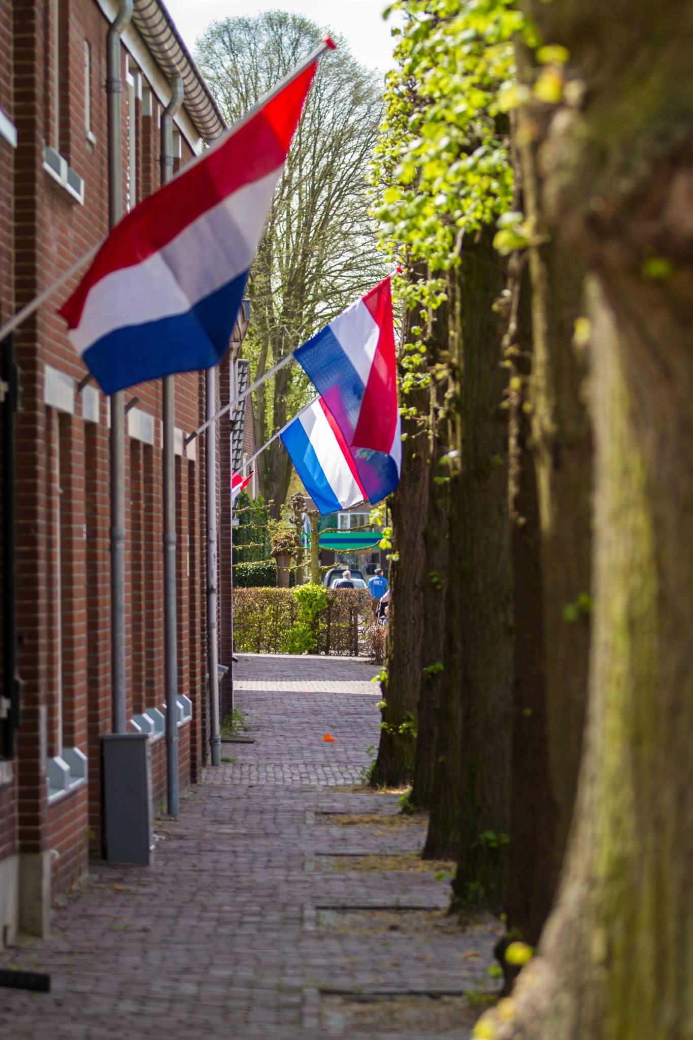 Bevrijdingsdag 5 mei Rens Bressers
