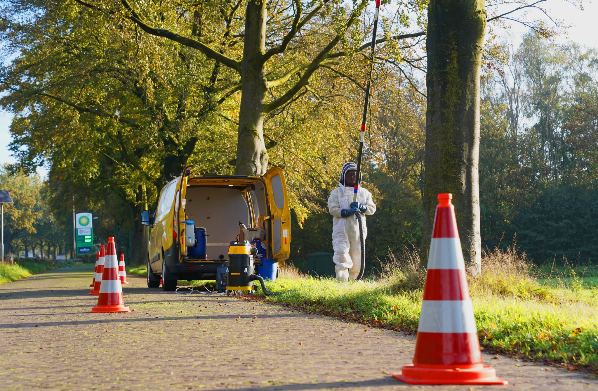 Derde nest van Aziatische hoornaar 21OKTbARTm (7)