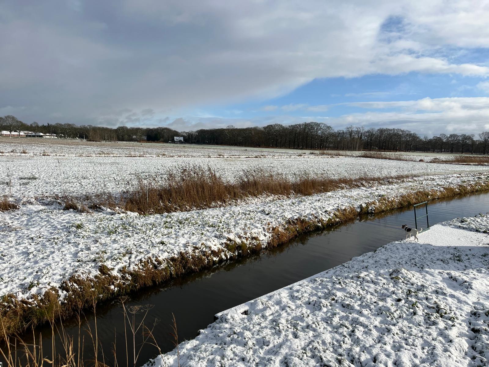 Helvoirts Broek 2026 4