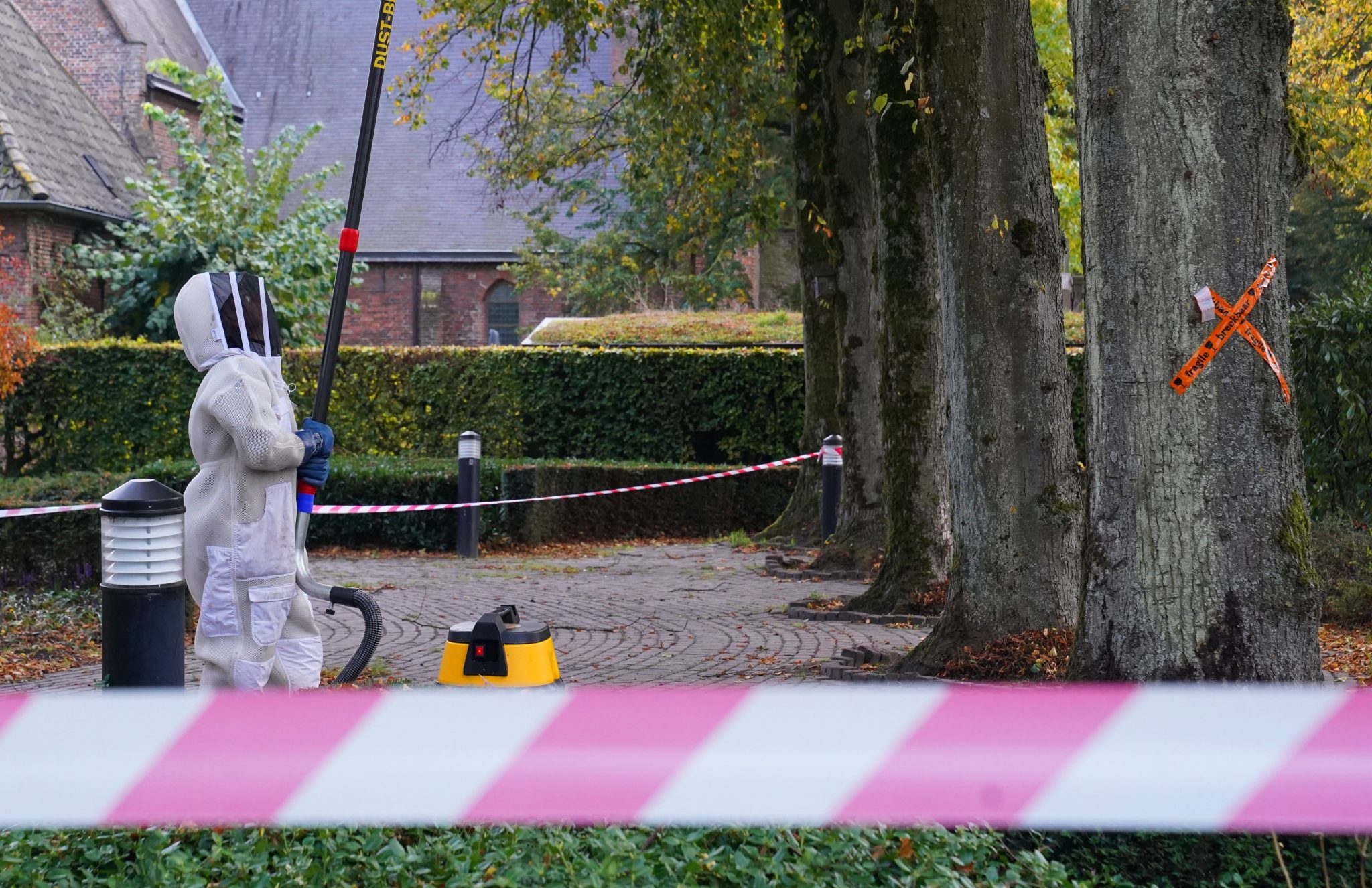 Hoornenaar nest BartM 20okt26 (1)