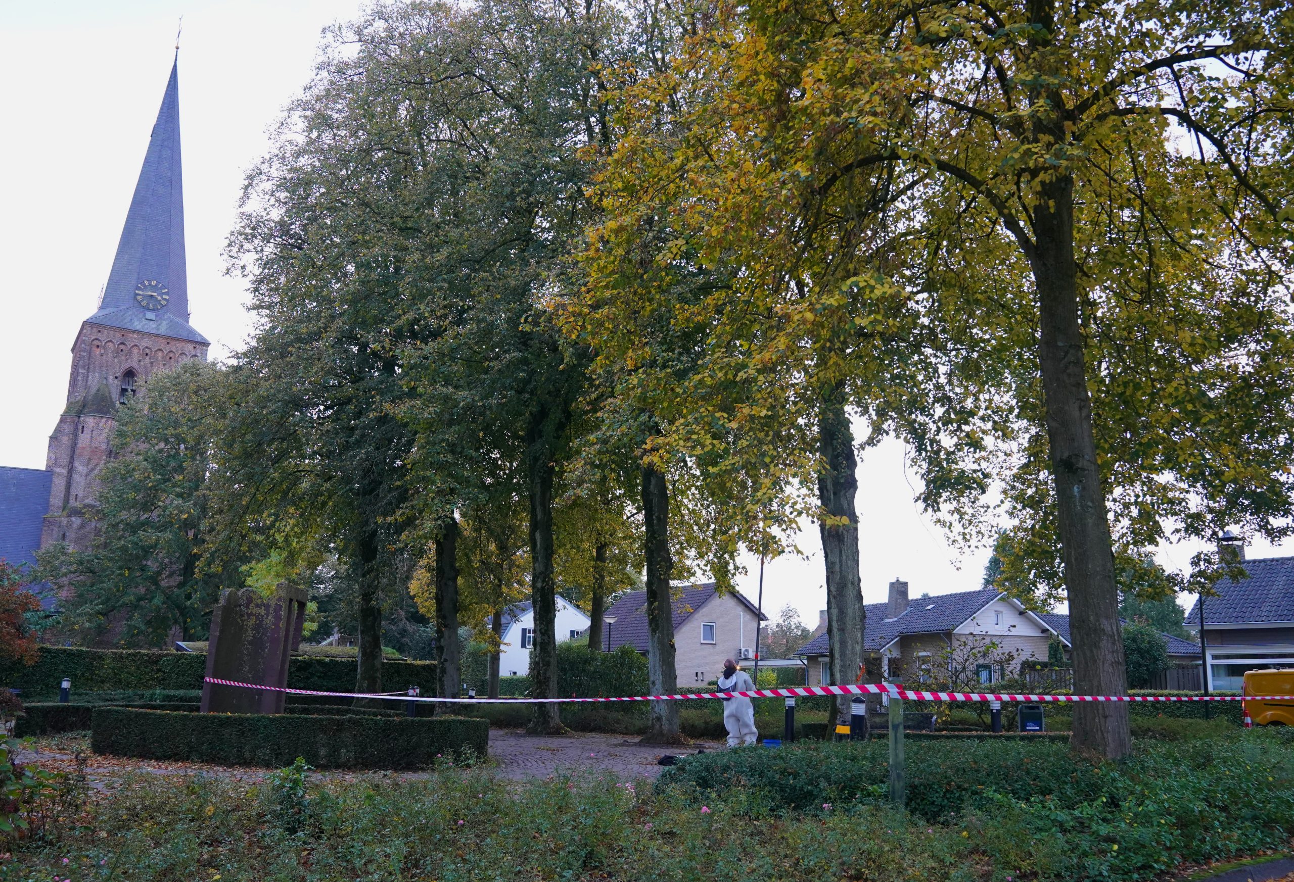 Nest geruimd van de Aziatische Hoornaar in Helvoirt
