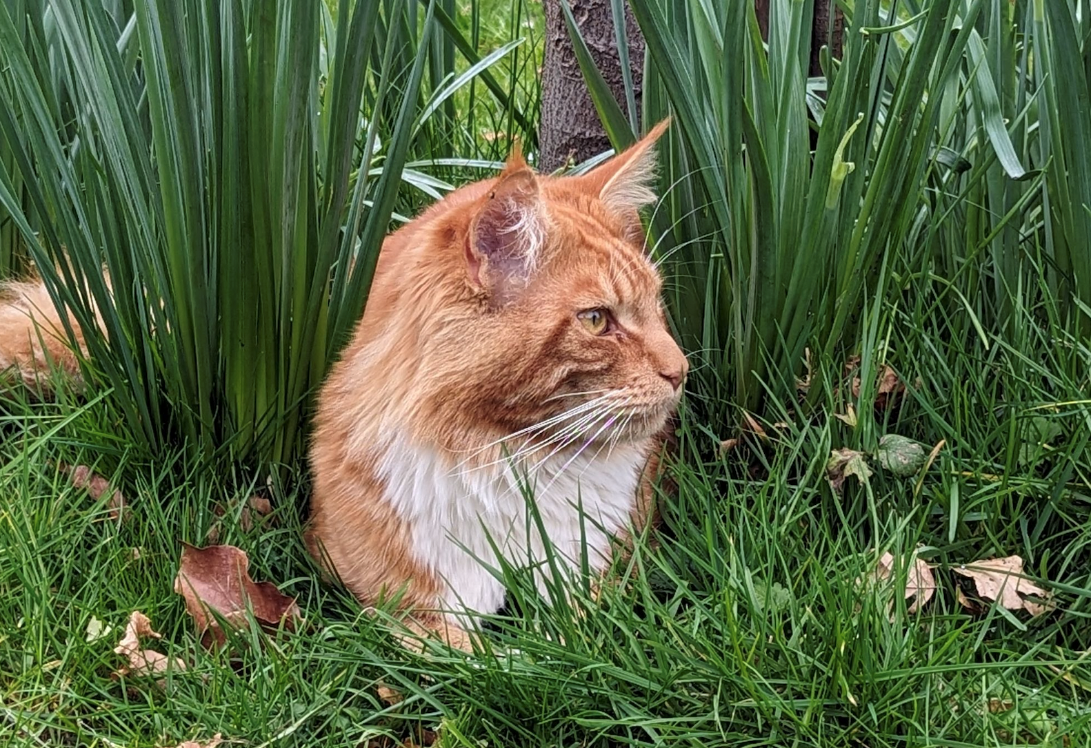 Kasimir