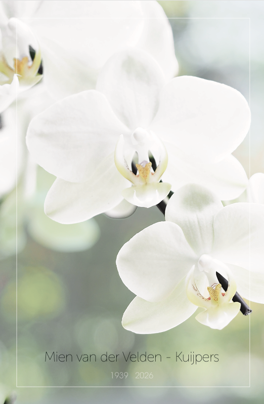 Mien vd Velden 6 mrt26