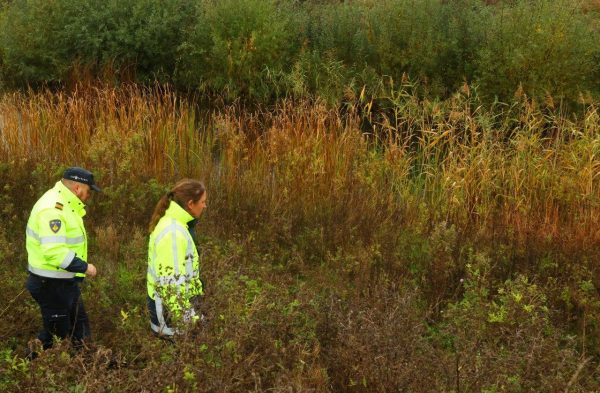 Onderzoek A59 Daglicht 1