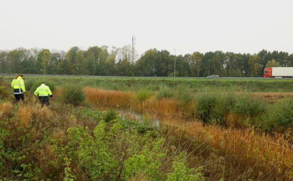 Onderzoek A59 Daglicht 2