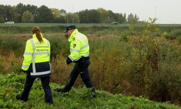 Onderzoek A59 Daglicht 3