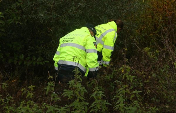 Onderzoek A59 Daglicht 6