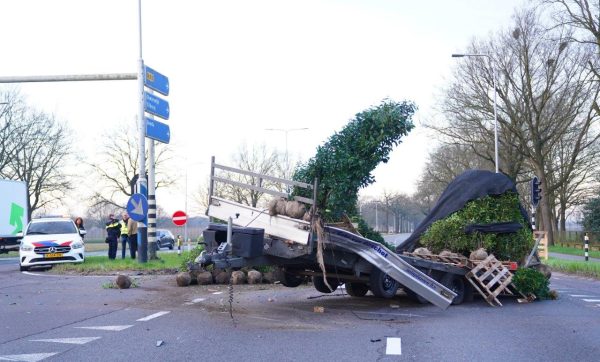 Planten op N65 1