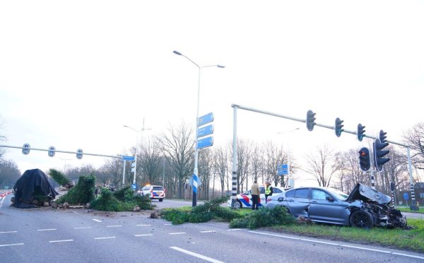 Planten op N65 7