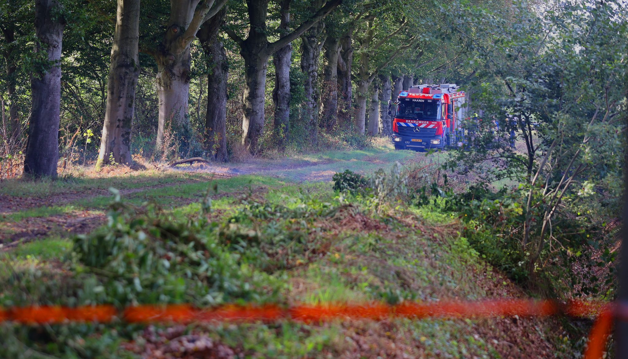 Rokende boom in Biezenmortel`22aug26 BartM (1)