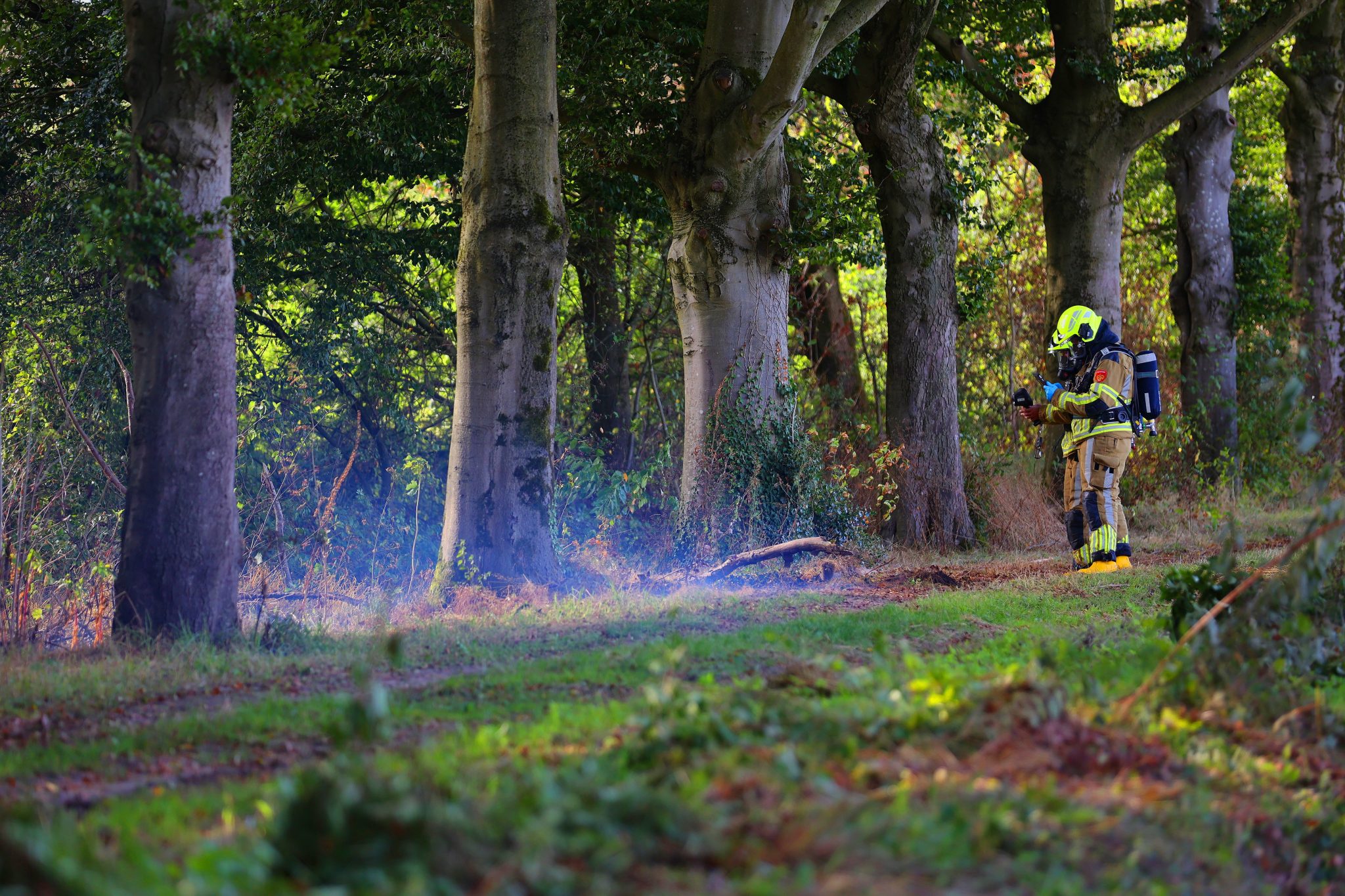 Rokende boom in Biezenmortel`22aug26 BartM (3)