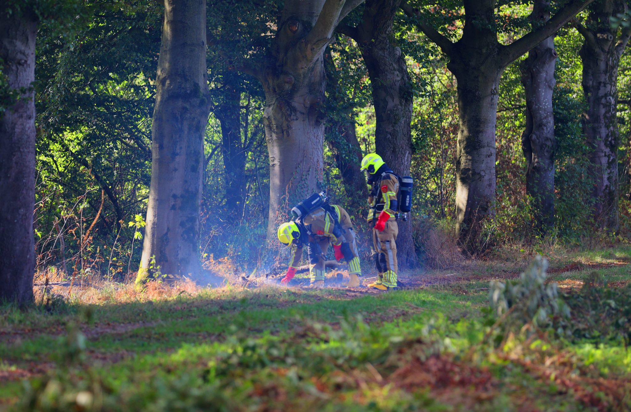 Rokende boom in Biezenmortel`22aug26 BartM (4)