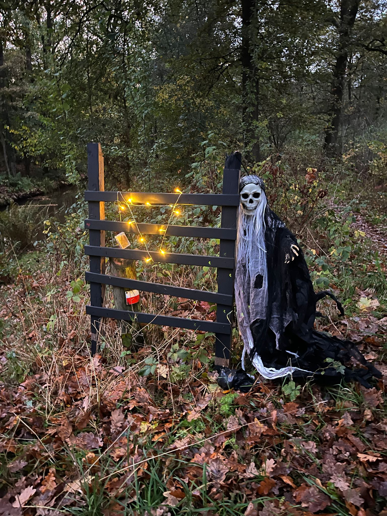 SPOOKTOCHT Cromvoirt 2025 (1)