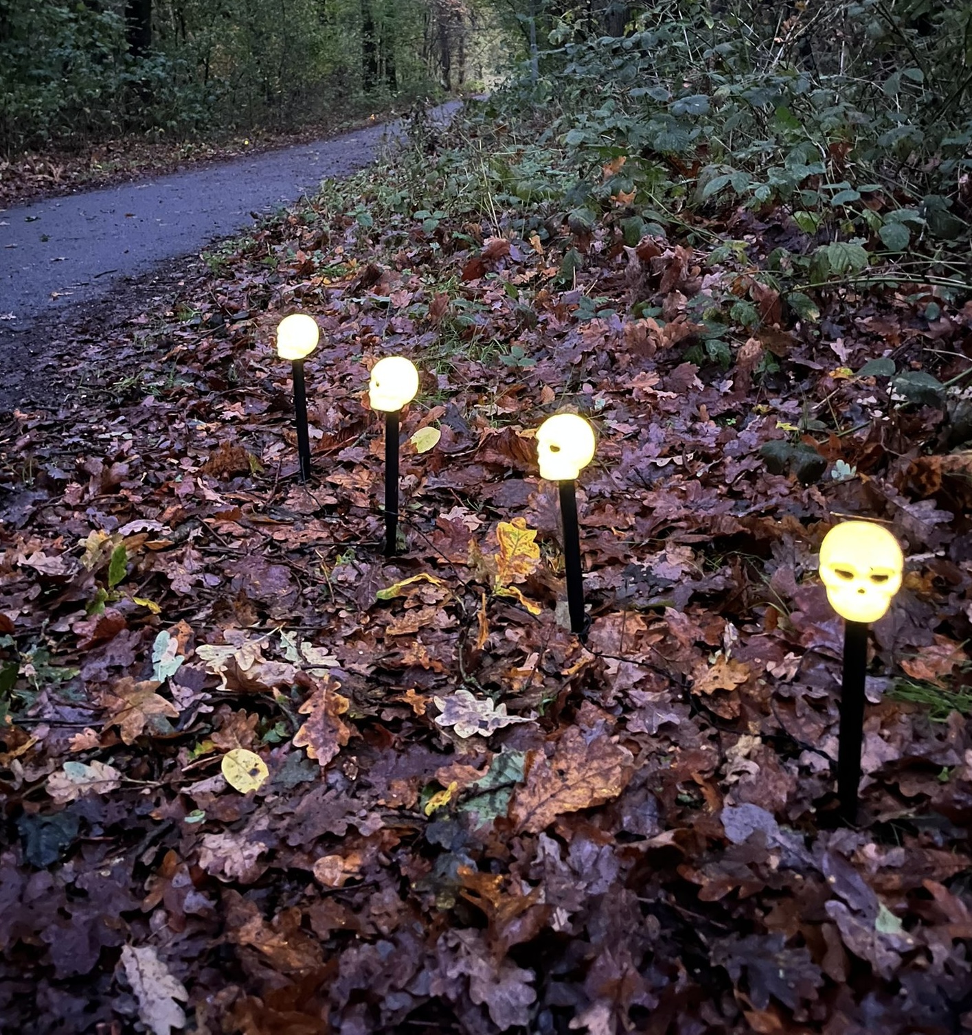 SPOOKTOCHT Cromvoirt 2025 (6)