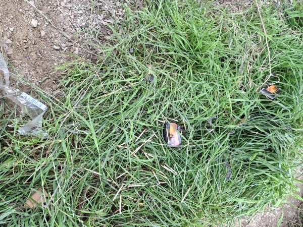 Stoere tieners in de natuurspeeltuin (1)