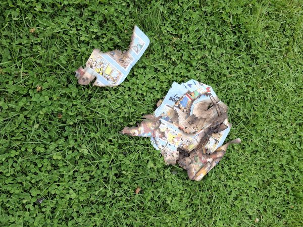 Stoere tieners in de natuurspeeltuin (2)