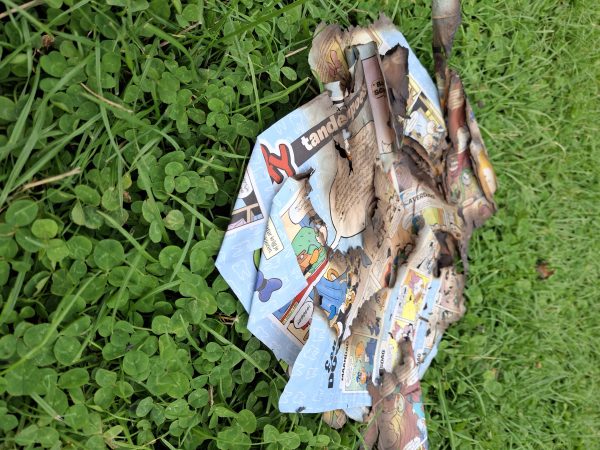 Stoere tieners in de natuurspeeltuin (3)