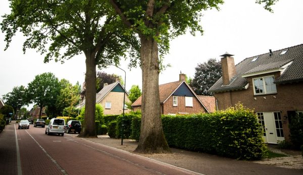 Torenstraat ingezonden 13sept24