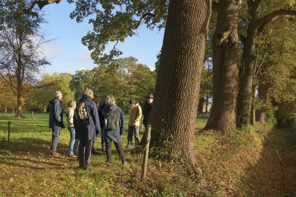 Wandel de herfst in met Van Gogh