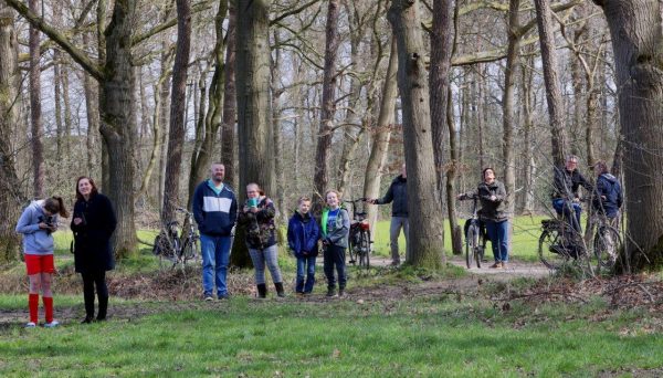 Wasbeer in boom Vught 12