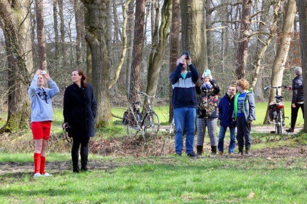 Wasbeer in boom Vught 13