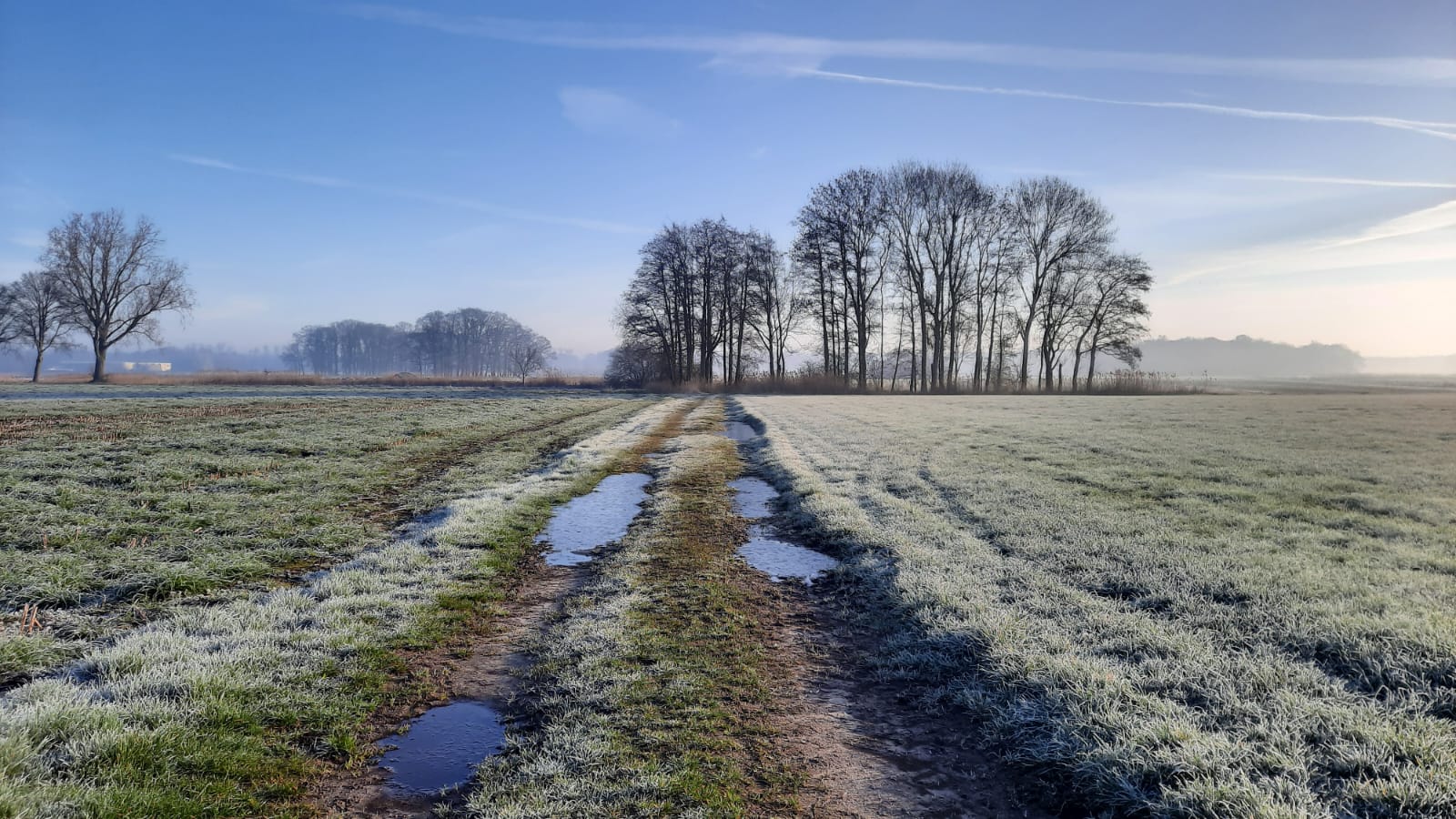 WhatsApp Image 2026-03-15 at 11.39.11