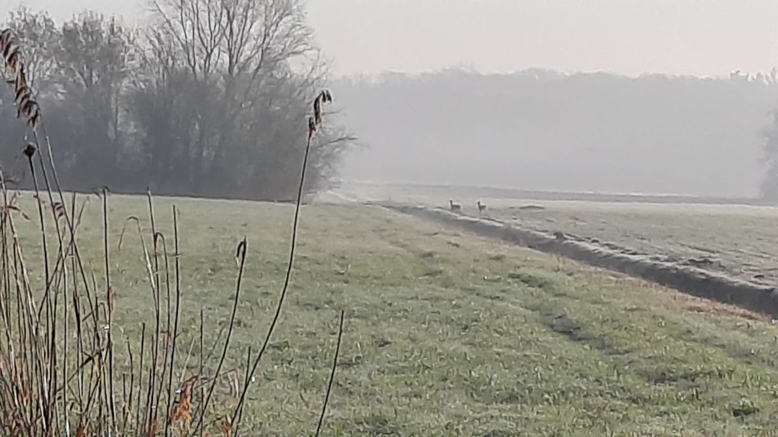 WhatsApp Image 2026-03-15 at 11.39.11.jpeg44