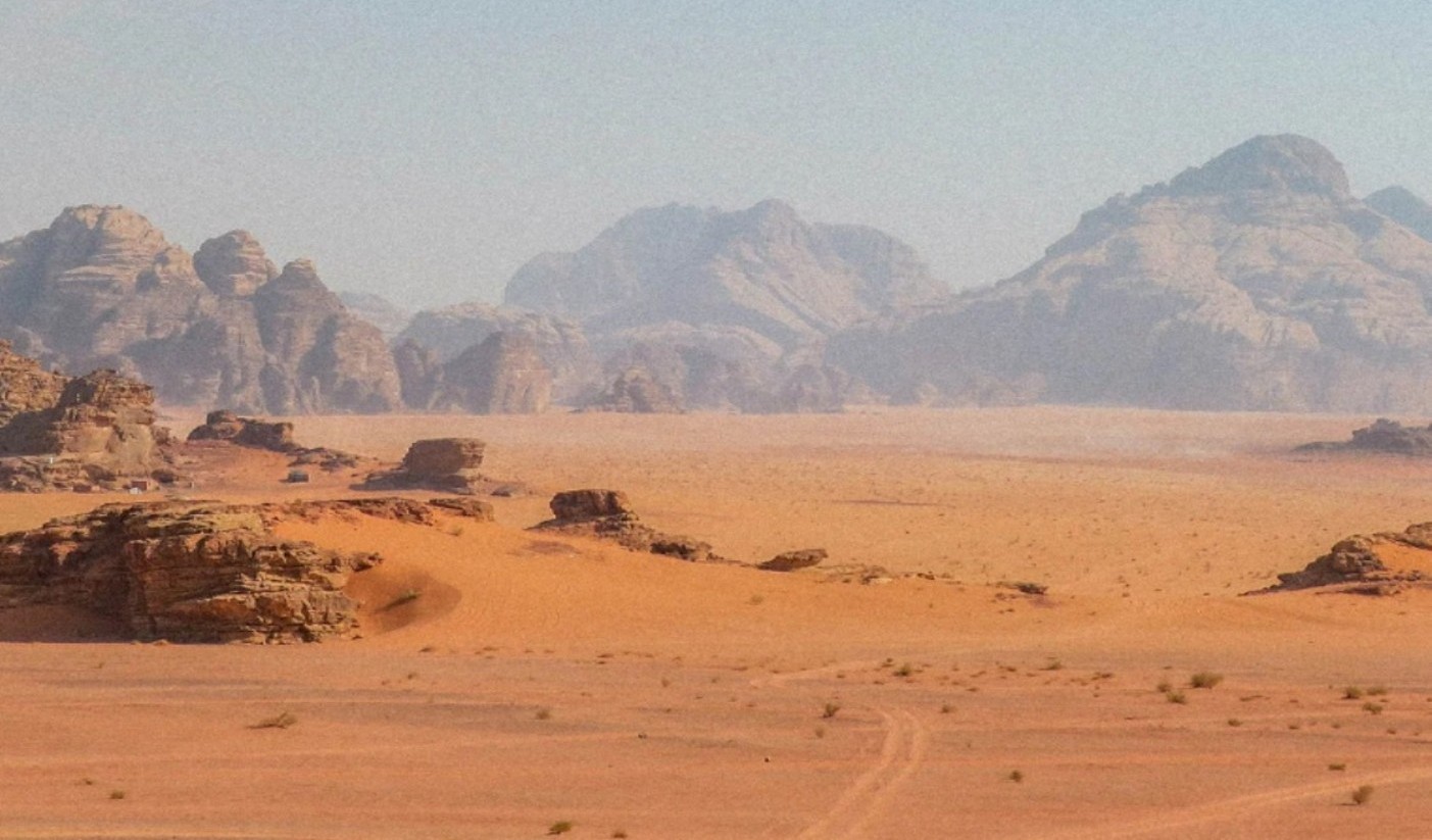 Woestijndag small