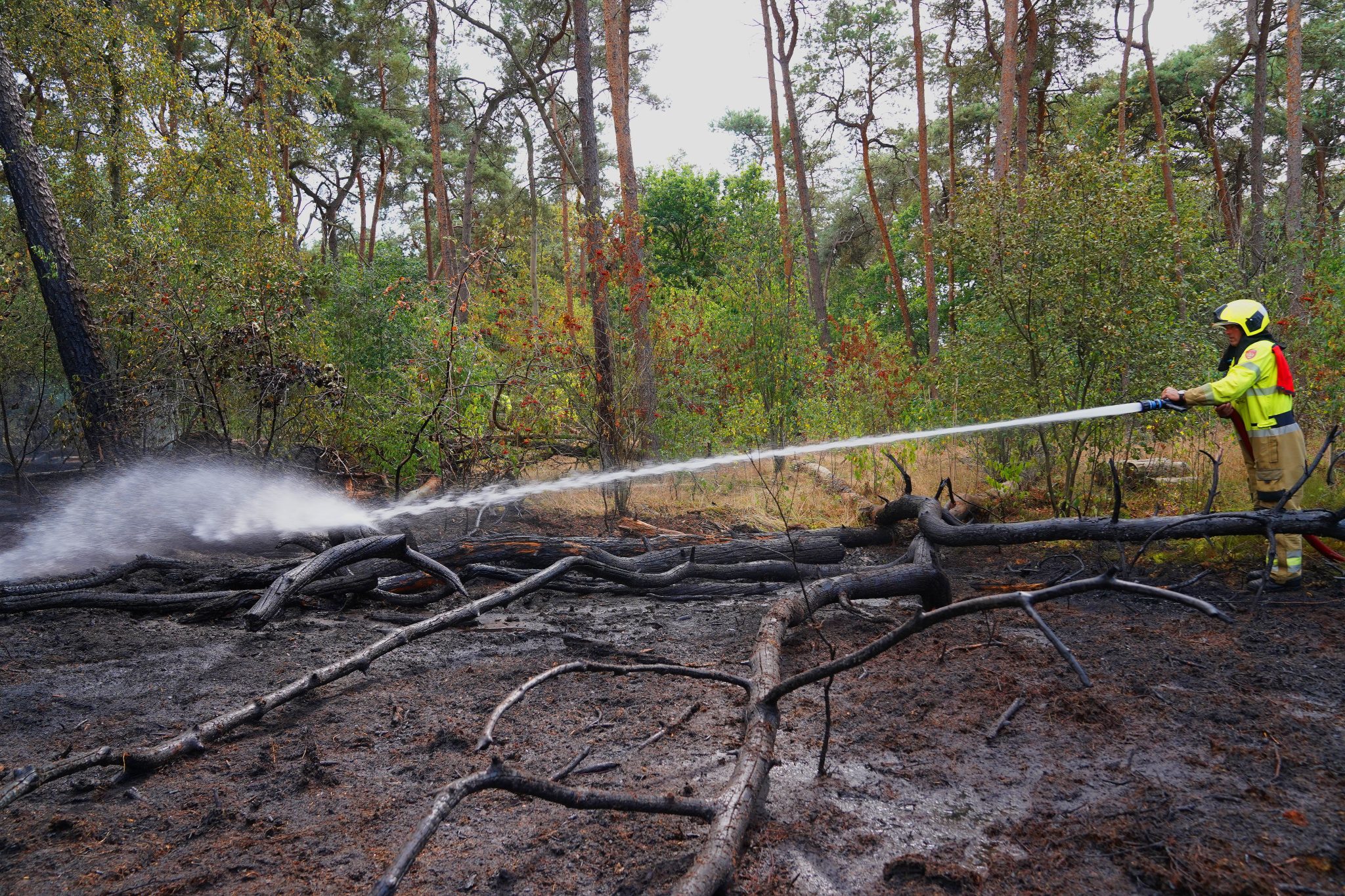 brand rosmalen bartM 3aug26 (5)