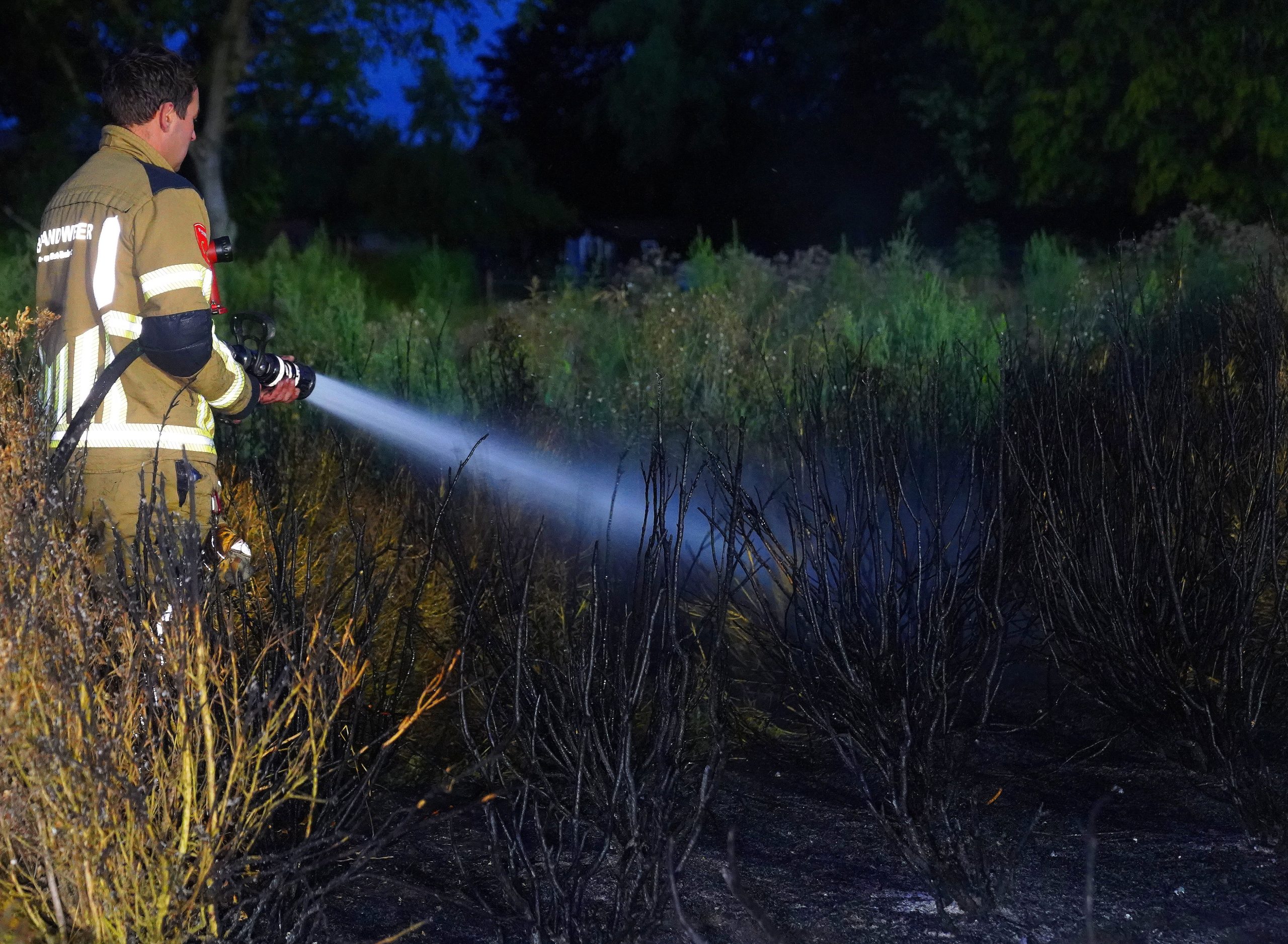 Buxusplanten in brand in Biezenmortel, vermoedelijk opzet