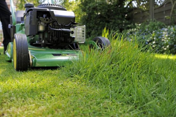 gras maaien