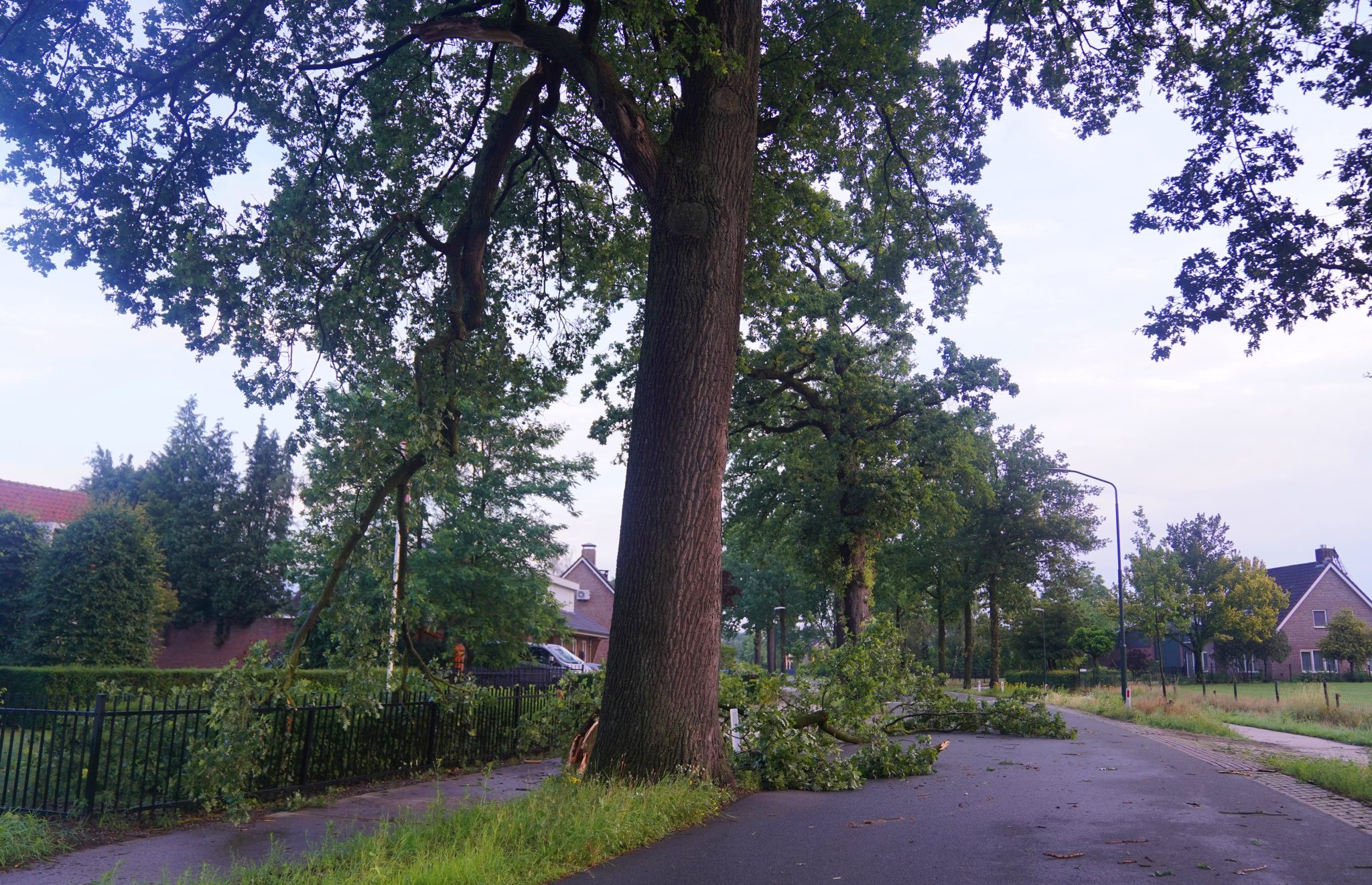 grote tak fietspad Helvoirt 28jun26 BartM