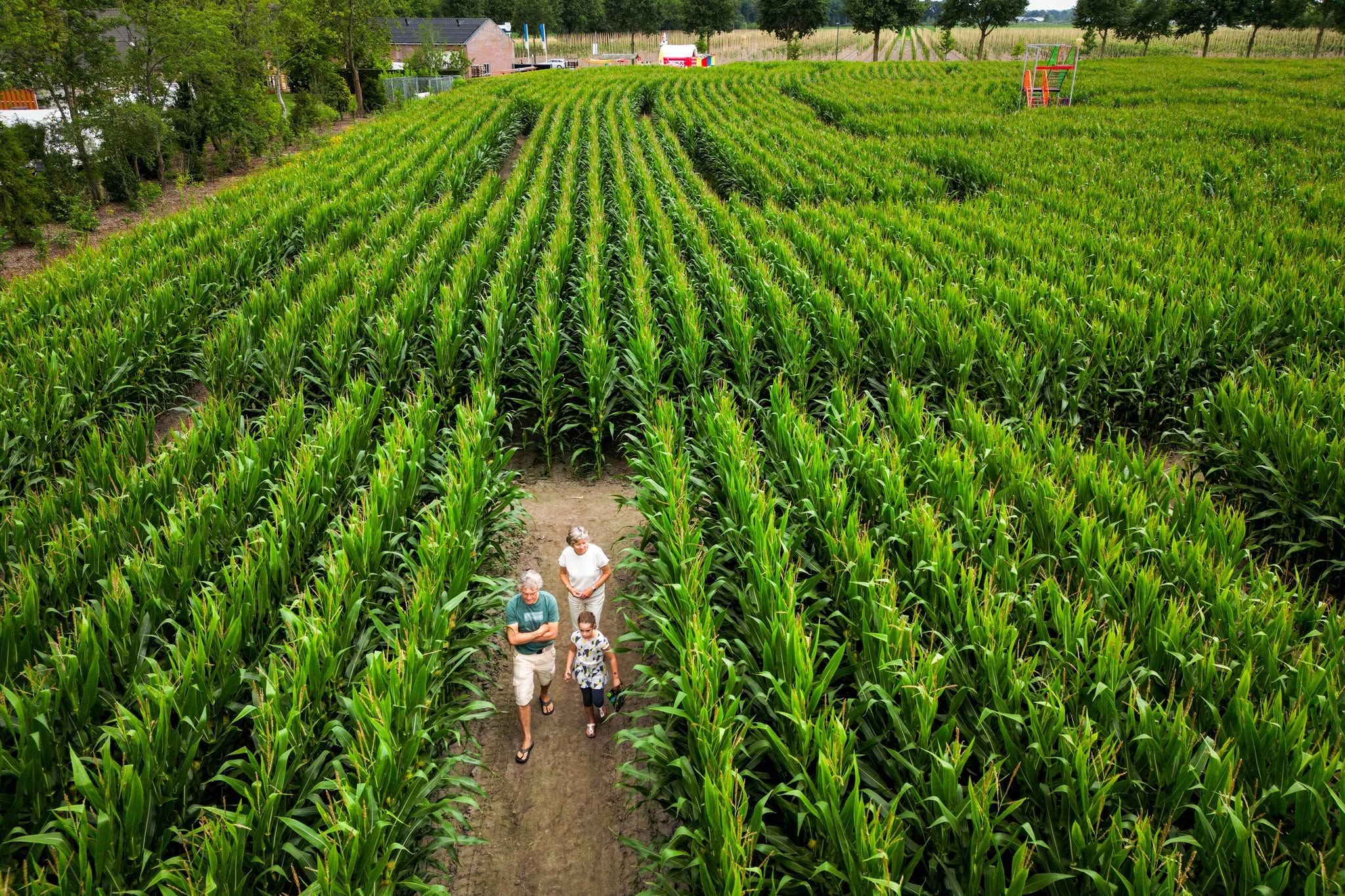 BD20250710-3362 - UDENHOUT - 20250713 -
Pix4Profs / Jules van Iperen
Maisdoolhof
Dronefoto van het maisdoolhof, dat dit jaar in Udenhout weer geopend is.