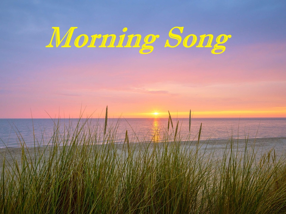 morning song