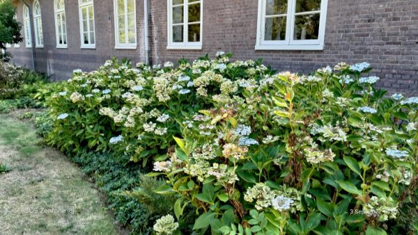 wandeling Voorburg Vught 1 juni